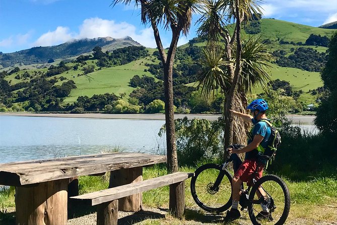 Small-Group 2.5-Hour E-Bike Cycling Tour, Akaroa Harbour  - Canterbury - Common Questions