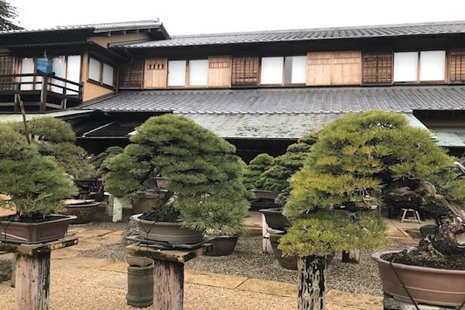 Small-Group 2-Hour Bonsai-Making Lesson in Tokyo - What To Expect and Logistics
