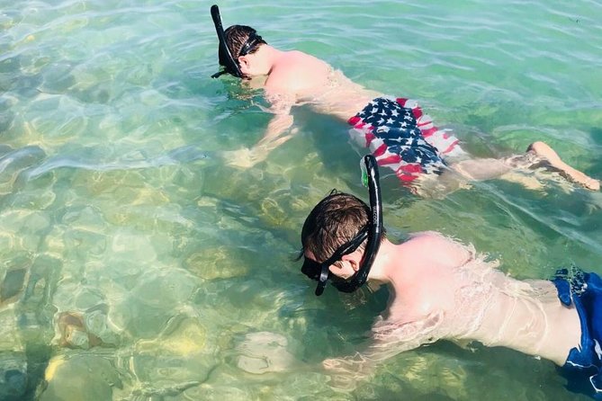 Small Group 2 Hour Dolphin Cruise With Snorkeling to Shell Key - Pricing and Booking Information