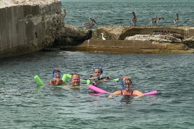 Small Group 2 Hour Dolphin Cruise With Snorkeling to Shell Key - Tour Experience