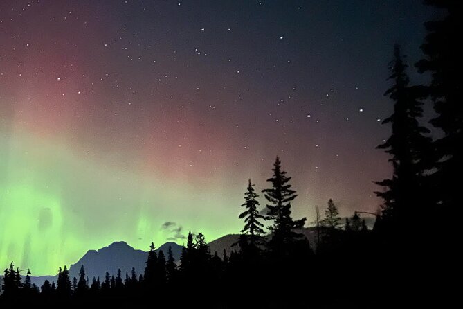 Small-Group 2-Hour Evening Hike With Stargazing, Banff - Feedback and Tips