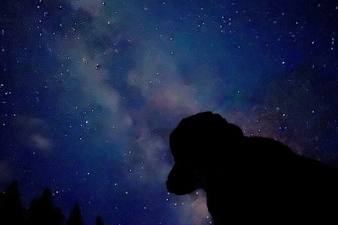 Small-Group 2-Hour Evening Hike With Stargazing, Banff - Cons of the Hike and Stargazing Experience