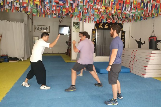 Small Group 2-Hour Kungfu Lesson in Chengdu - Experience Highlights
