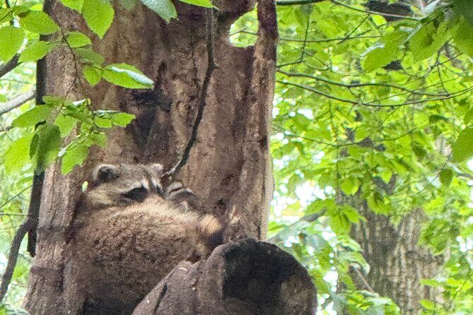 Small Group 2 Hours Walking Tour of Central Park - up to 8 people - Who Would Love This Tour?