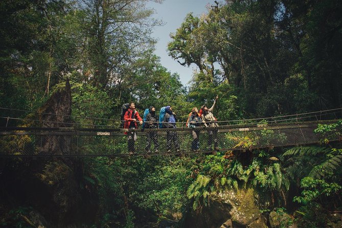 Small-Group 23-Day Hiking Tour: North and South Islands  - Auckland - Traveler Photos and Reviews