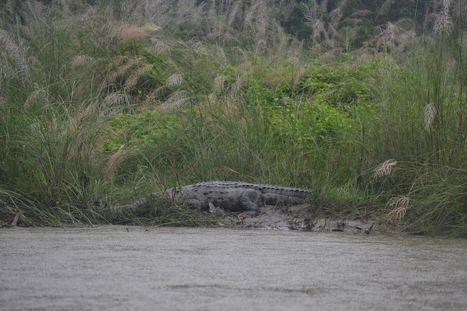 Small-Group 3-Day Safari, Chitwan National Park From Kathmandu - Common Questions