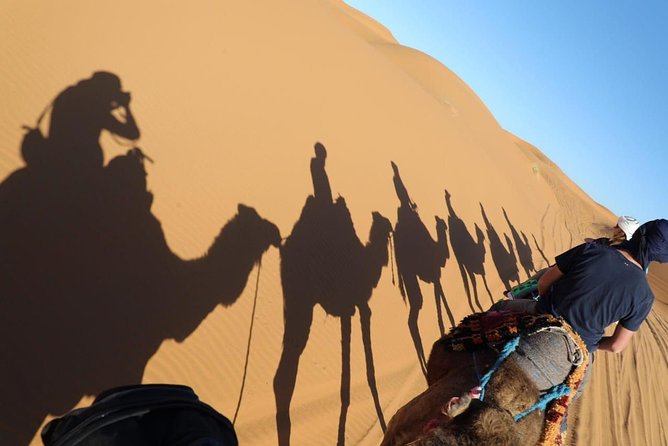 Small Group 3-day Sahara Desert Tour: Marrakech to Fez - Itinerary Highlights