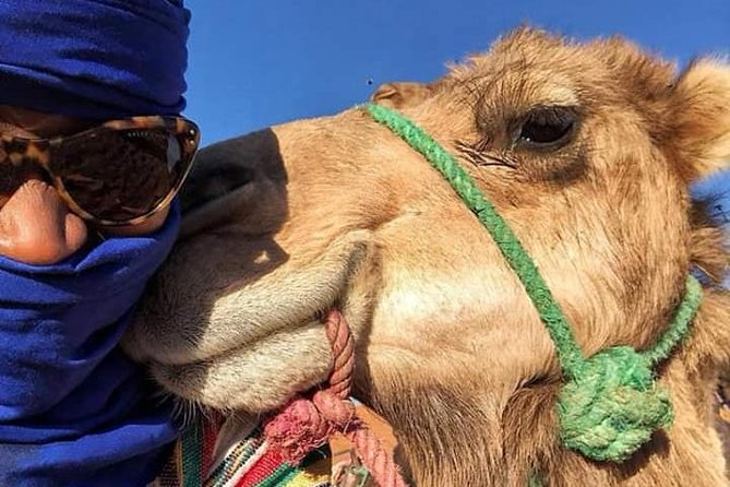 Small Group 3-Days Fez to Marrakech Desert Tour - Camel Ride and Berber Tents
