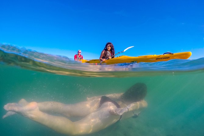 Small-Group 3-Hour Kayak Tour From Marahau, Abel Tasman Park - Inclusions