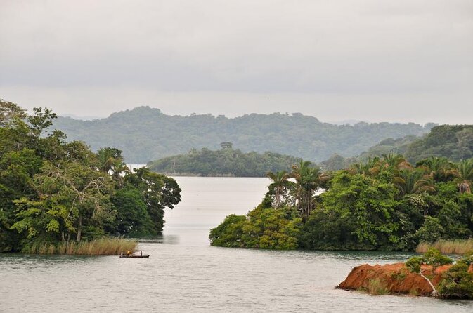 Small-Group 3-Hour Tour: Gatun Lake and Monkey Island  - Panama City - Tour Details and Pricing