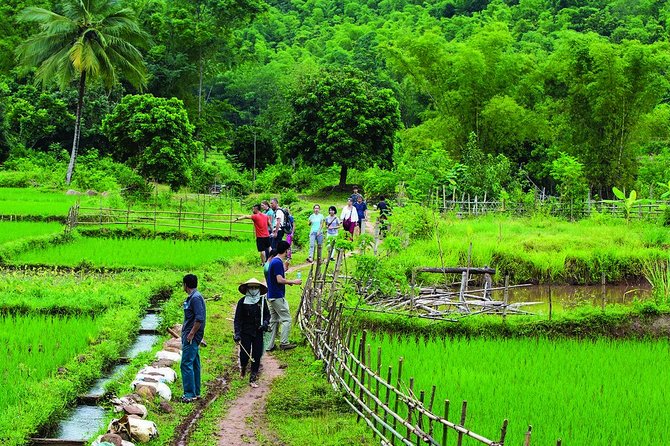 Small-Group 3-Night Active Adventure From Hanoi to Pu Luong - Pricing and Booking Details