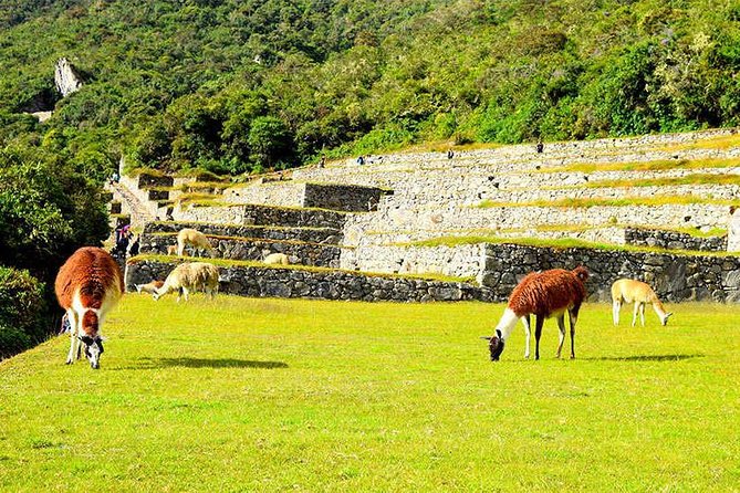 Small Group: 4-Day Inca Trail Trek to Machu Picchu - Daily Itinerary
