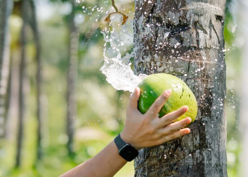 Small Group 4x4 ATV Punta Cana: Jungle & Wild Beaches - Good To Know