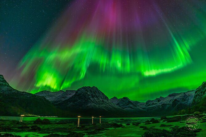 Small Group 4x4 Van Journey in Search of the Northern Lights - The True Value of This Tour