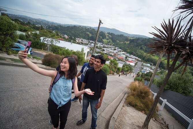 Small-Group 6-Hour Shore Excursion: Dunedin City & Peninsula  - Dunedin & The Otago Peninsula - Tour Details and Logistics