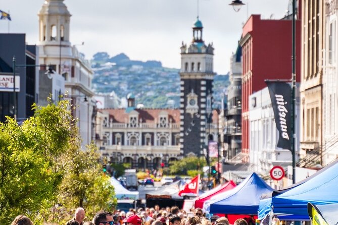 Small-Group 6-Hour Shore Excursion: Dunedin City & Peninsula  - Dunedin & The Otago Peninsula - Cancellation Policy and Weather Contingencies