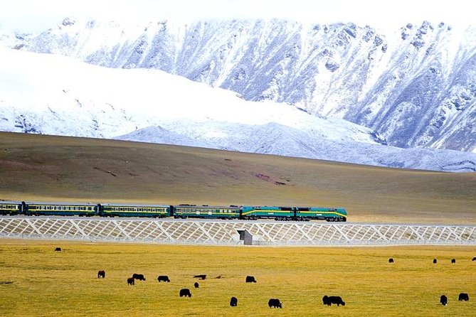 Small-Group 6-Night Lhasa to Everest Tour: Train From Xining - Booking Information