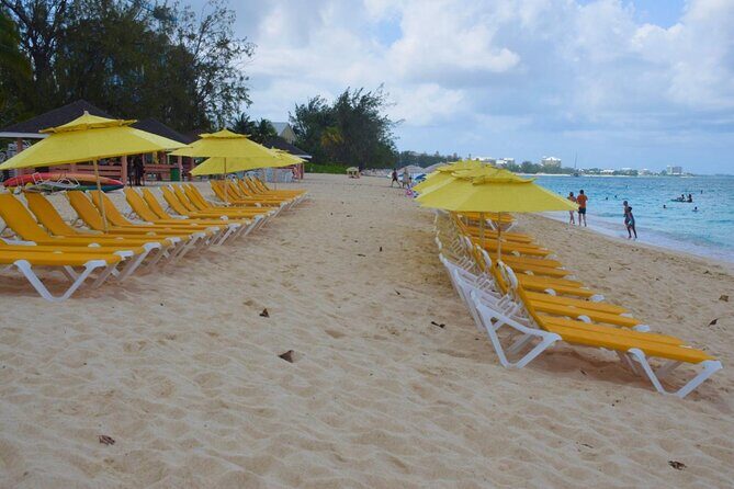 Small Group 7 Mile Beach Stingray City and Coral Gardens Tour - In-Depth Look at the Tour Experience