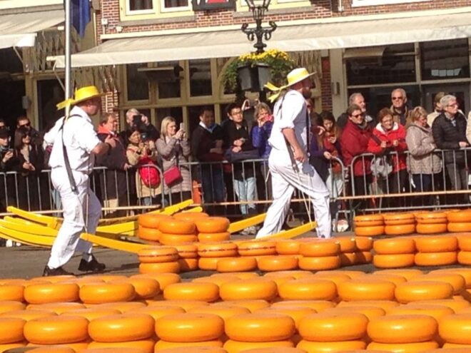 Small Group Alkmaar Cheese Market and City Tour - Inclusions