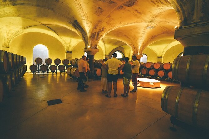 Small-Group Amarone Wine E-Bike Tour From Verona - Traveler Reviews and Feedback