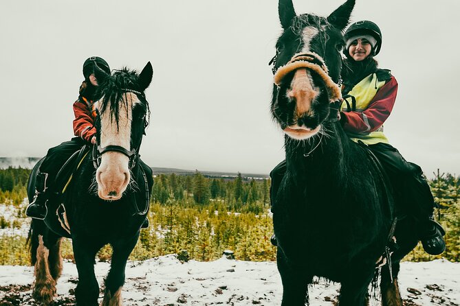 Small-Group Arctic Circle Horse Riding From Rovaniemi - Location: Rovaniemi, Finland