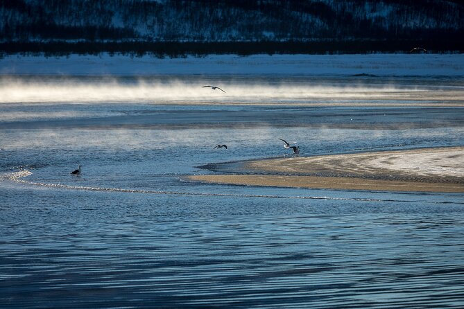 Small Group, Arctic Landscape Blue Day Tour With Creative Vacations - Cancellation Policy