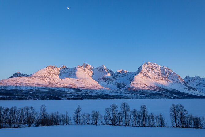 Small Group, Arctic Landscape Blue Day Tour With Creative Vacations - Traveler Photos