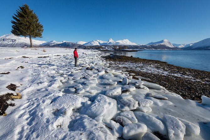 Small Group, Arctic Landscape Blue Day Tour With Creative Vacations - The Sum Up