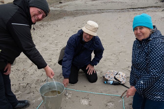 Small-group Arctic Landscapes Sightseeing - With Citizen Science - From Tromso - The Sum Up