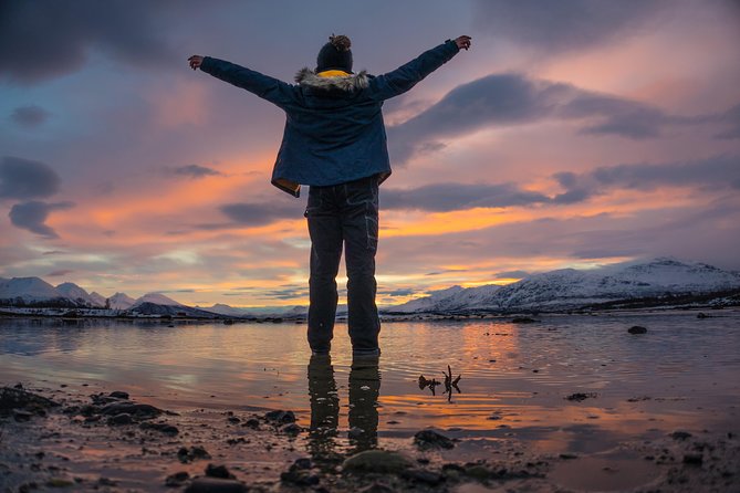 Small-Group Arctic Sightseeing Tour With Citizen Science From Tromso - Additional Information