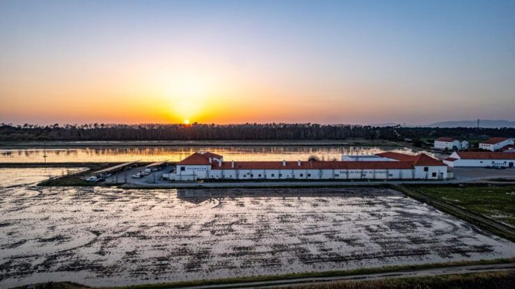 Small Group – Arrábida & Comporta Wine Tour Full Day - Tour Details