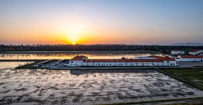 Small Group – Arrábida & Comporta Wine Tour Full Day - Highlights