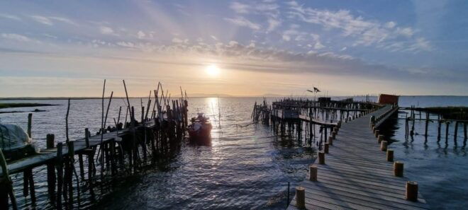 Small Group – Arrábida & Comporta Wine Tour Full Day - Important Information