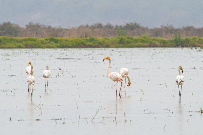 Small Group – Arrábida & Comporta Wine Tour Full Day - Customer Reviews