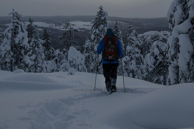 Small-Group Aurora Borealis Snowshoeing Adventure From Rovaniemi - Good To Know