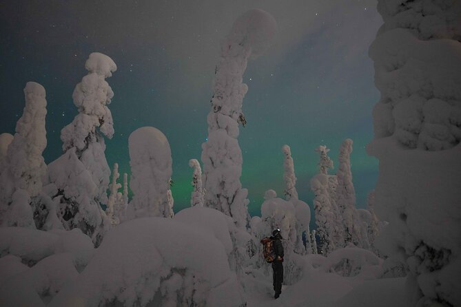Small-Group Aurora Borealis Snowshoeing Adventure From Rovaniemi - Requirements and Recommendations