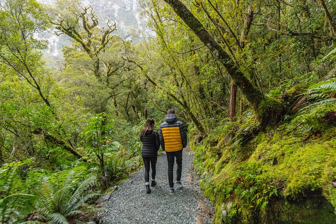 Small Group, Award Winning, Full Day Milford Sound Experience From Queenstown - Inclusions and Additional Options