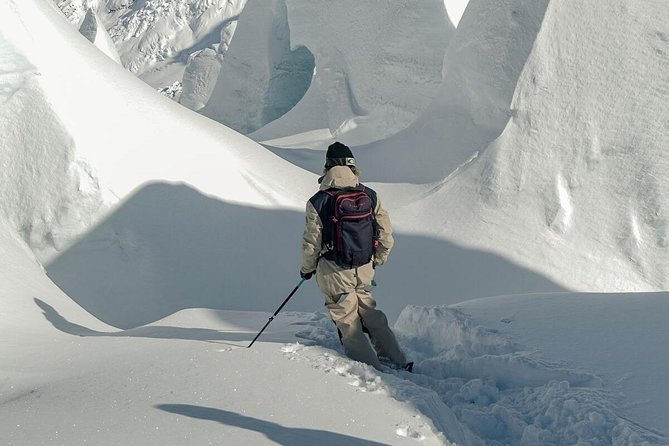 Small-Group Backcountry Skiing Tour to Tasman Glacier, Aoraki  - Aoraki Mount Cook National Park - Tour Experience
