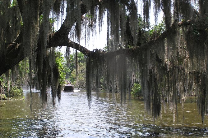 Small-Group Bayou Airboat Ride With Transport From New Orleans - Addressing a Negative Review and Resolution