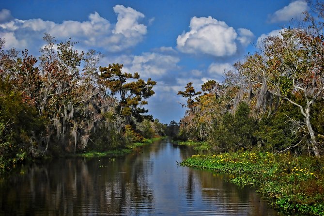Small-Group Bayou Airboat Ride With Transport From New Orleans - Common Questions