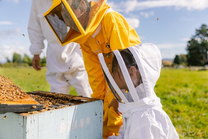 Small-Group Beekeeping Experience in Tauherenikau - Meeting and Pickup