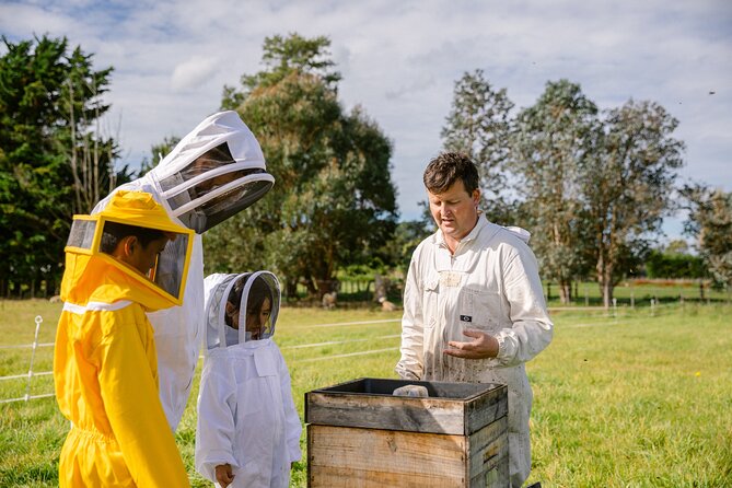 Small-Group Beekeeping Experience in Tauherenikau - Additional Information
