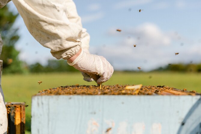 Small-Group Beekeeping Experience in Tauherenikau - Directions