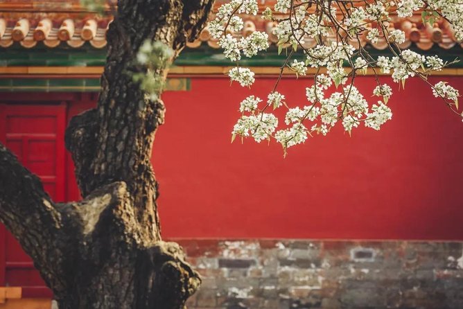 Small Group Beijing Layover Tour to Mutianyu Great Wall and Forbidden City - Tour Highlights