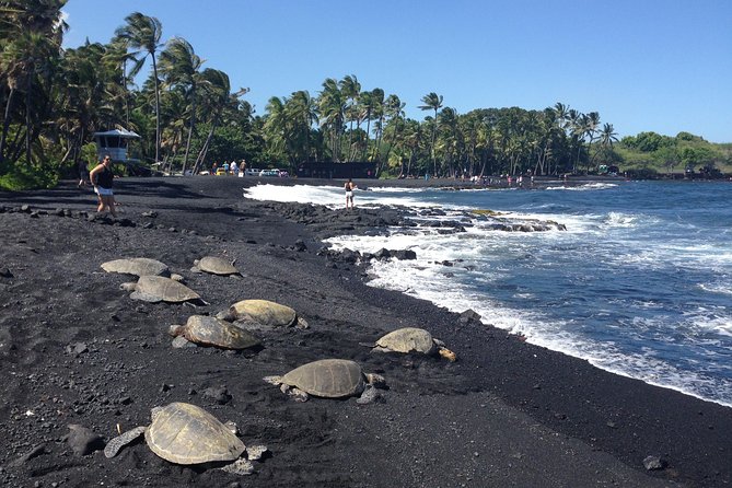Small-Group Big Island Tour: Hawaii Volcanoes National Park and Kona Coffee Farm - Customer Reviews and Overall Experience