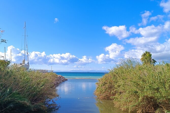 Small-Group Bike Tour of Athens and Riviera - Reviews and Questions