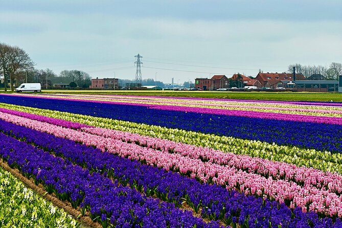 Small Group Bike Tour to Tulips Field in Lisse - Contact Information
