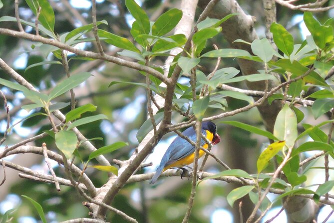 Small-Group Birdwatching Sian Kaan With Professional Guide - Additional Information
