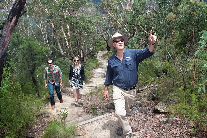 Small-Group Blue Mountains Tour With Bush Walks and Featherdale Wildlife Park - Tour Overview