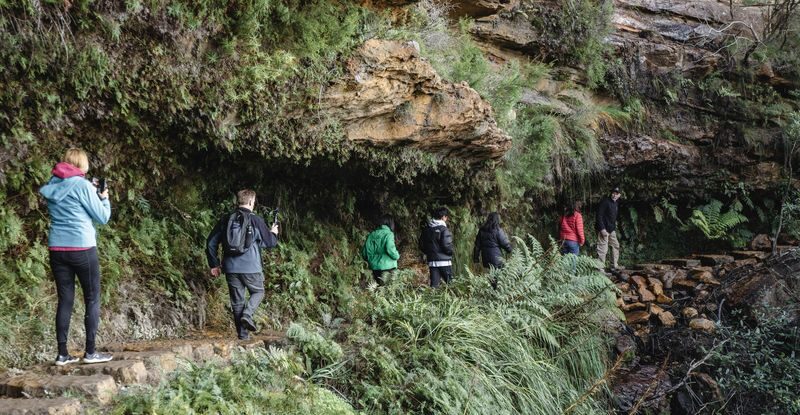 Small Group Blue Mountains Wildlife & Bushwalk Tour from Sydney - The Wentworth Falls bushwalk